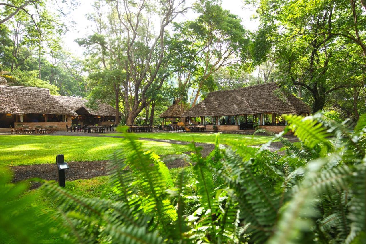 Rivertrees Country Inn Usa River Εξωτερικό φωτογραφία