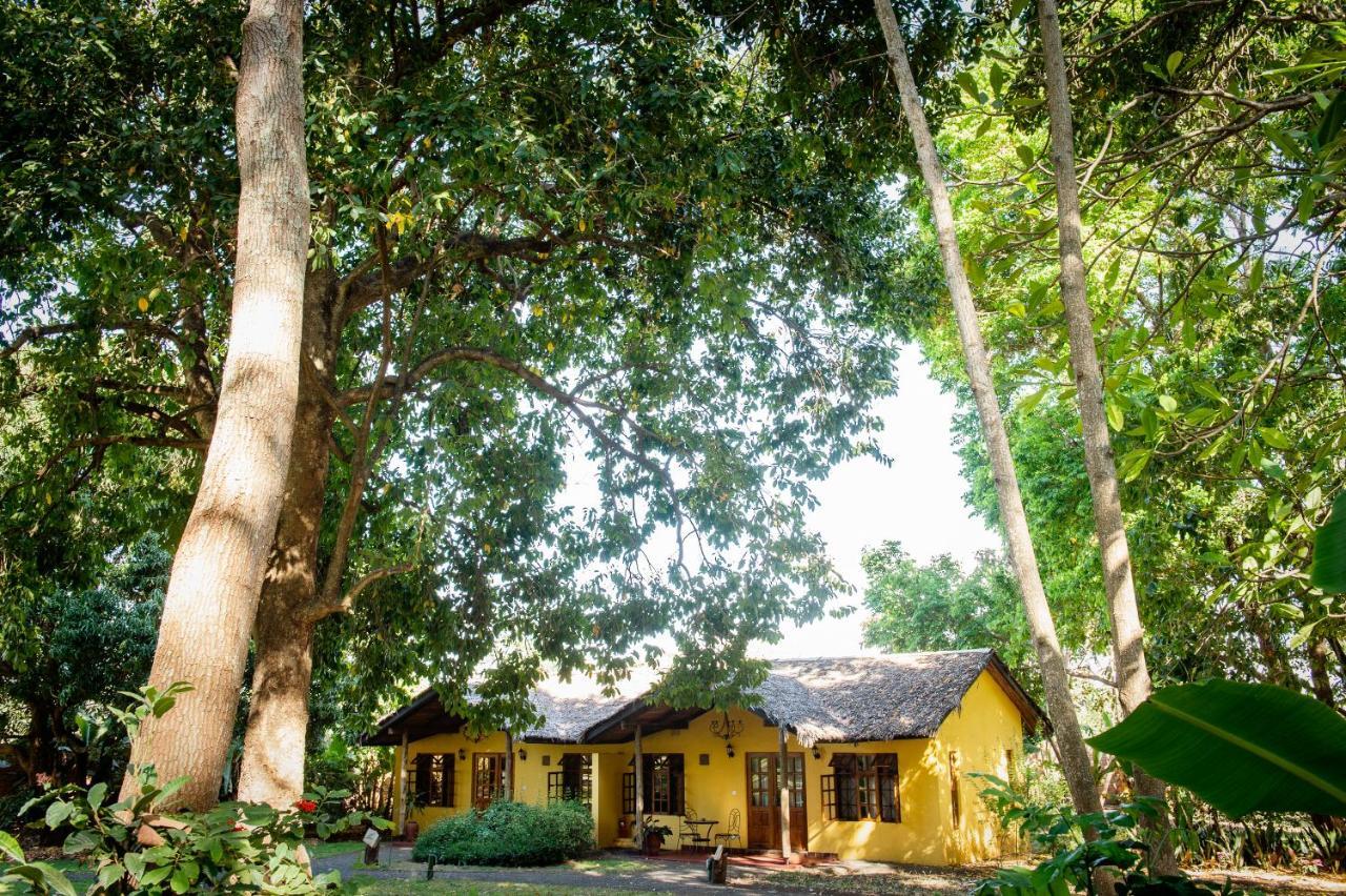 Rivertrees Country Inn Usa River Εξωτερικό φωτογραφία